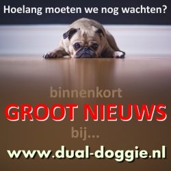 Binnenkort is de dual-doggie te koop bij www.dual-doggie.nl